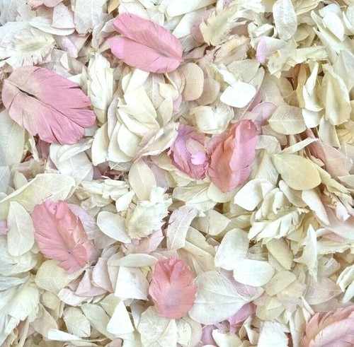 Biodegradable wedding confetti - biodegradable,