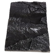  Reptile Background for