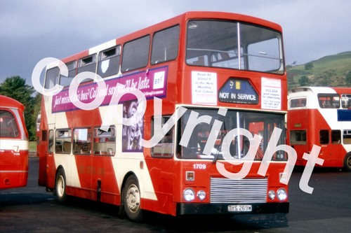 Bus photo kelvin central - -,