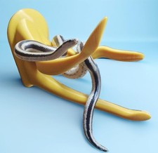 3D Printed Reptile Climbing Branch, Terrarium Decor, Corn King Milk Rat Snake