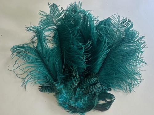 Vintage teal ostrich feather - ostrich,