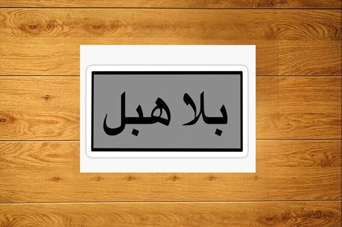 Stop being stupid arabic - being, in