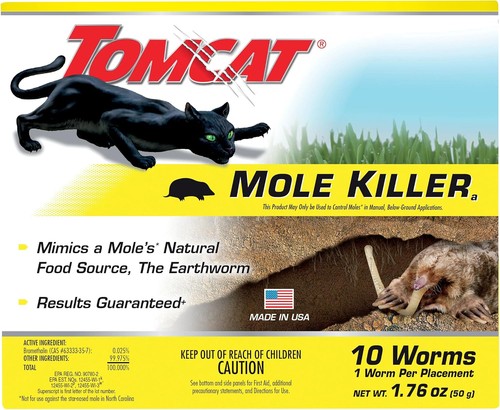 Tomcat mole killer worm - tomcat,