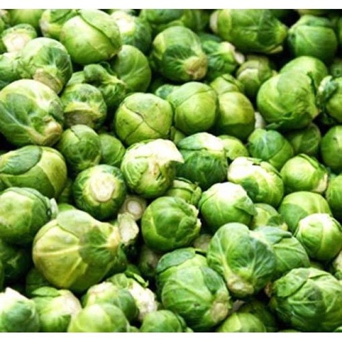 Long island brussel - brussel, sprouts