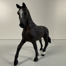 Black Hanoverian Dressage