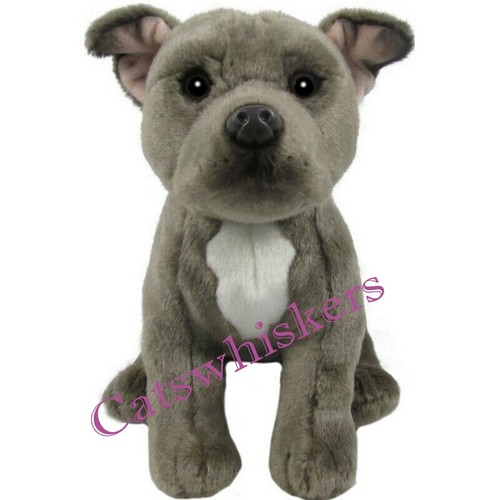 Blue staffordshire bull - blue,