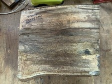 Spalted Turkey Oak Bowl Blank