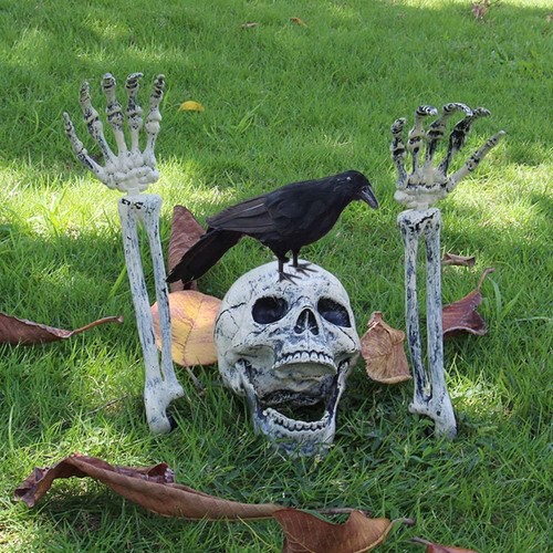 Realistic halloween skeleton - halloween,