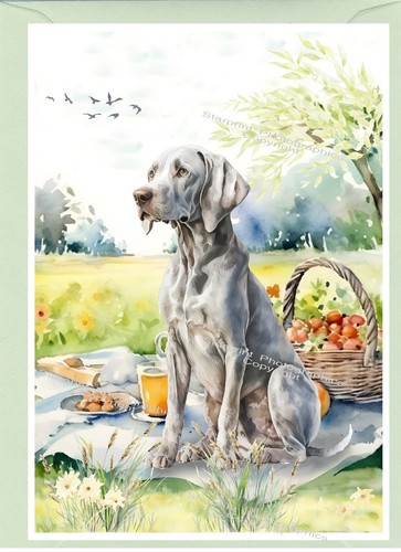 Weimaraner dog greetings - weimaraner,
