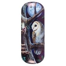 Fairy and Owl Glasses Case