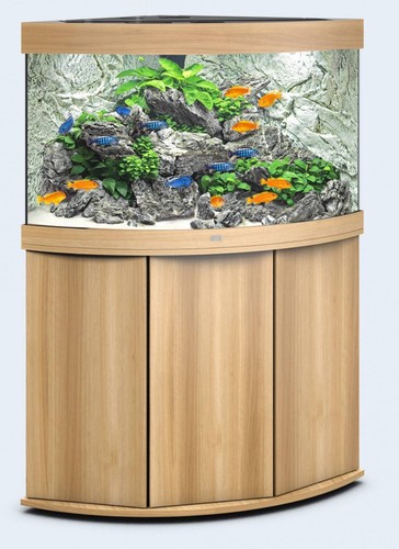 Juwel trigon 190 aquarium - trigon,