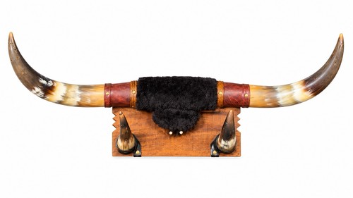 Vintage steer bull horns - steer,