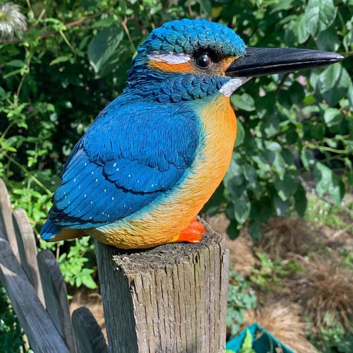 Large kingfisher bird garden - large,