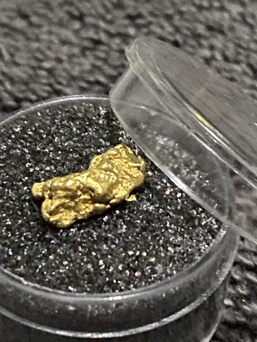 37g raw gold alaskan nuggets - alaskan,
