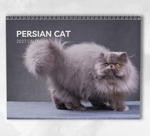 Persian cat calendar - cat, 2027