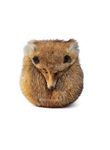 Fox face fur - fox,
