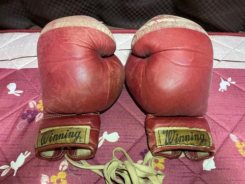 Winning boxing gloves - boxing, old