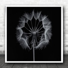 Monochrome Graphic B&W Flower