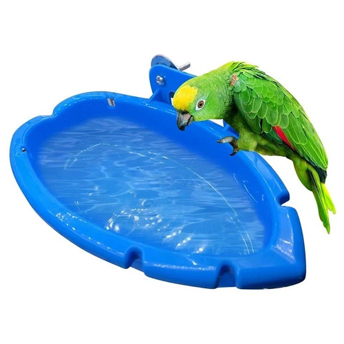 Bird water bath - water,