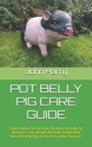 Pot belly pig care guide - belly,