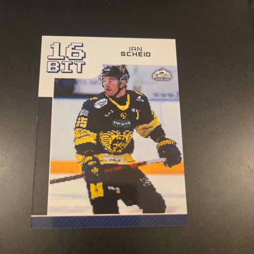 Ian scheid bit - ian, flyers