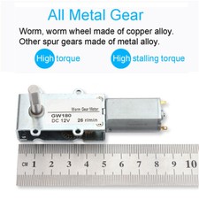 DC 6V 12V Worm Gear Motor