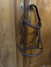 Tan TSI stallion Bridle Cob