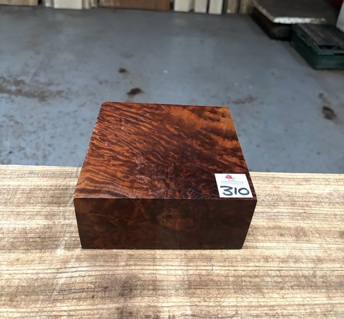 Thuya burr 6 x 3 - x,