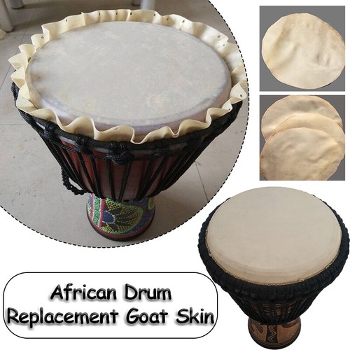 Djembe drum replacement - djembe, goat