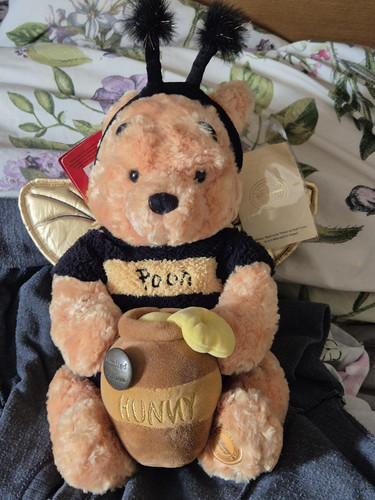 Winnie the pooh limited - winnie,