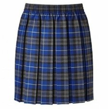 Girls Tartan School Box Pleated Skirt Fully Elasticated Waist Skirt Kids Uniform