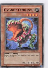 Gigantic Cephalotus Common Crossroads of Chaos CSOC-EN025 NM Unlimited LP-NM