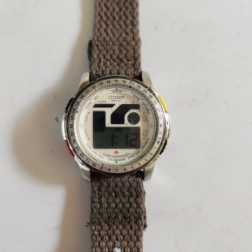 Rare citizen promaster - rare,