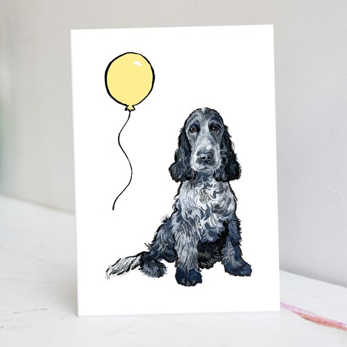Blue roan cocker spaniel - blue,