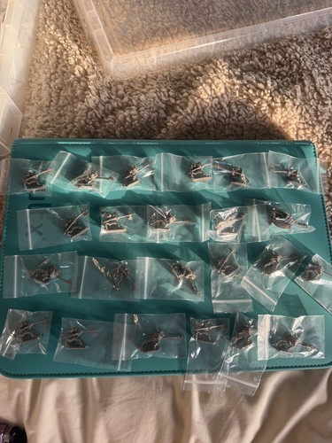 Warhammer citadel cp4 - citadel, lizard