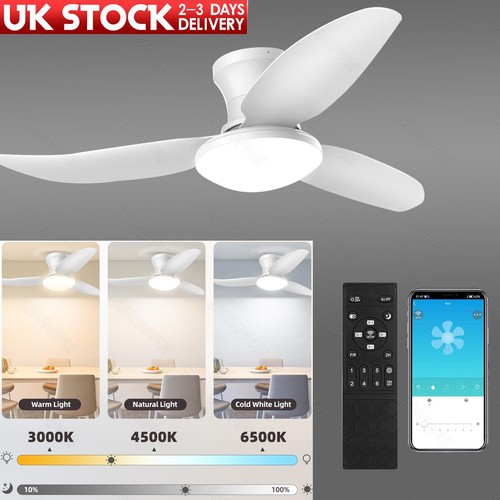 Led ceiling fan light - ceiling,