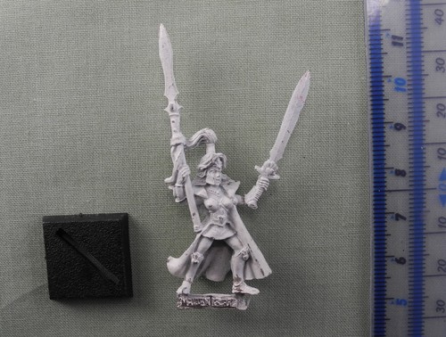 Maiden guard champion metal - champion,
