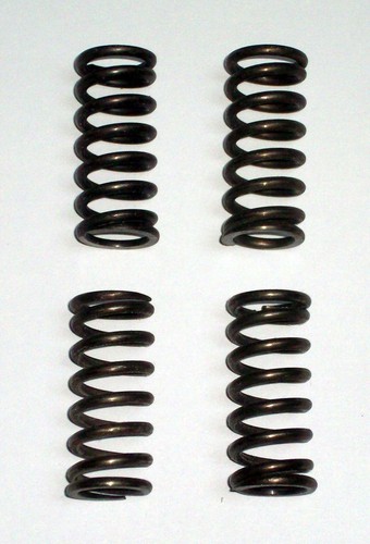 Reinforced clutch springs