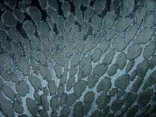 Animal Print Blue Plush