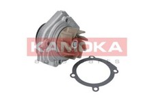 WATER PUMP KAMOKA T0013 FOR