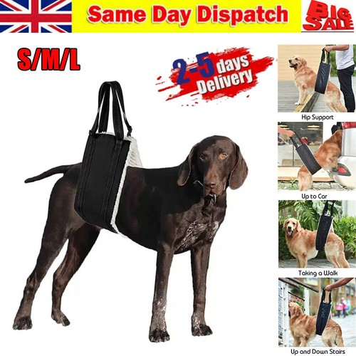 Large dog mobility aids - dog,