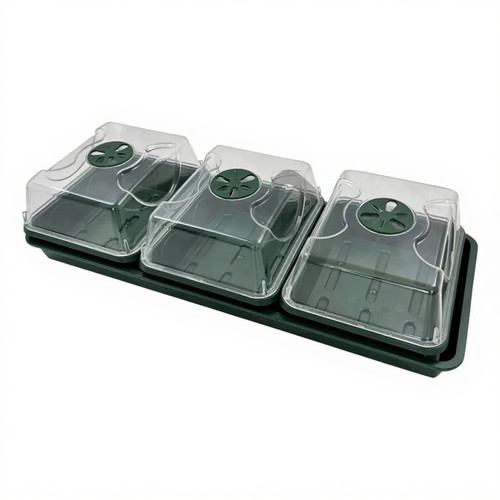 Windowsill propagator seed - windowsill,