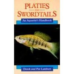 Platies and swordtails an - and, swordtails: