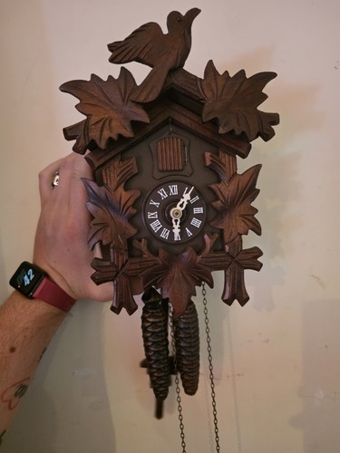 1970s black forest cuckoo - forest,
