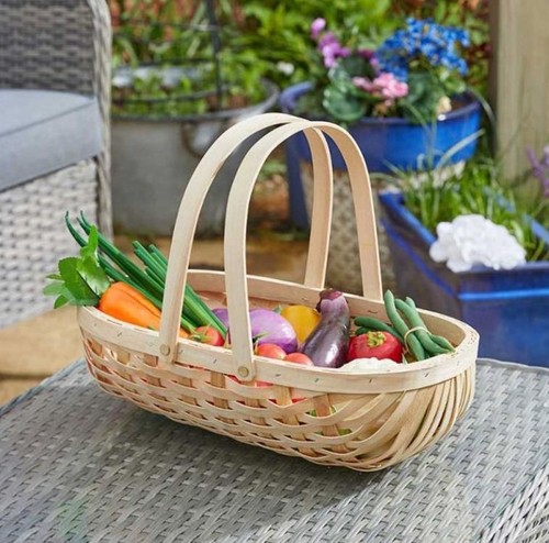 Smart garden traditional - garden,