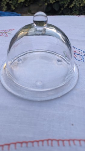 Glass cheese dome - glass,