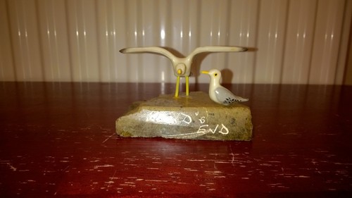 Seal seagulls rocks - seal, &