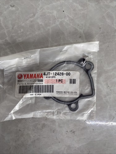 Yamaha 125 4jt - tz, water