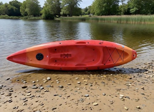 Perception wavesport scooter - wavesport,