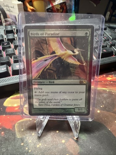 Mtg birds paradise - birds,